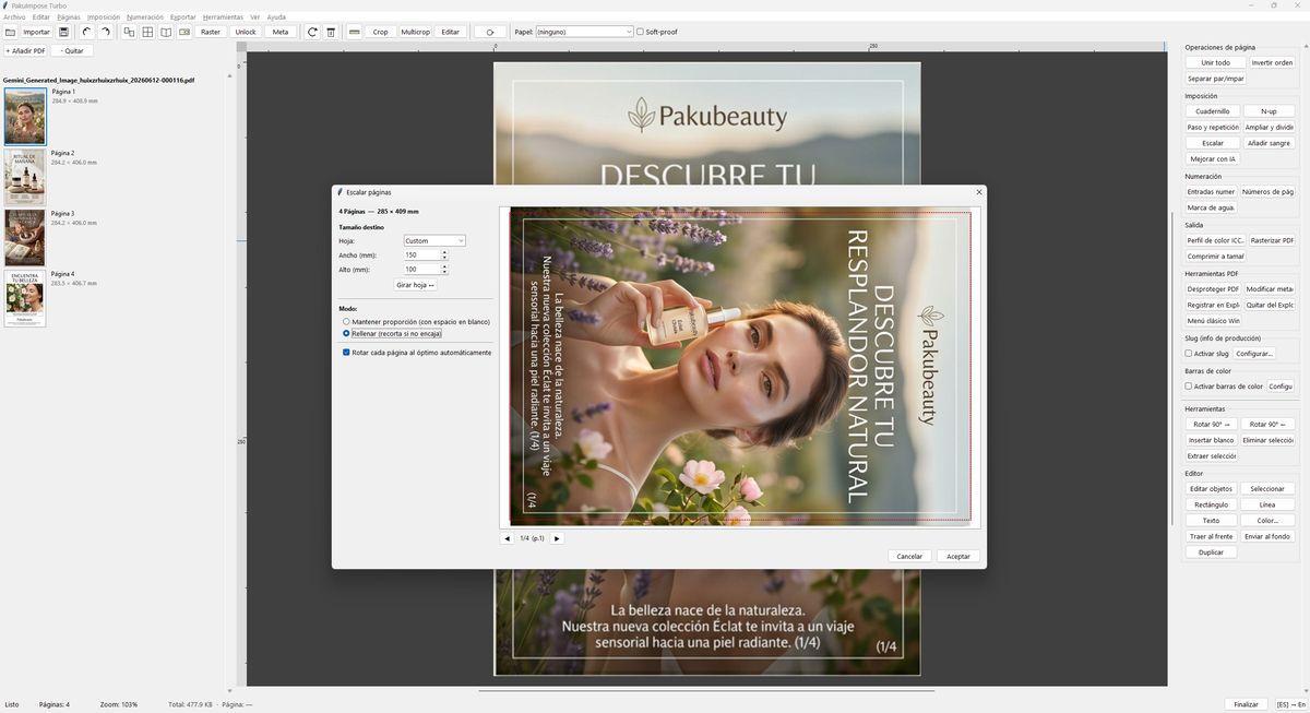 PDF page scaling dialog to a specific size with preview